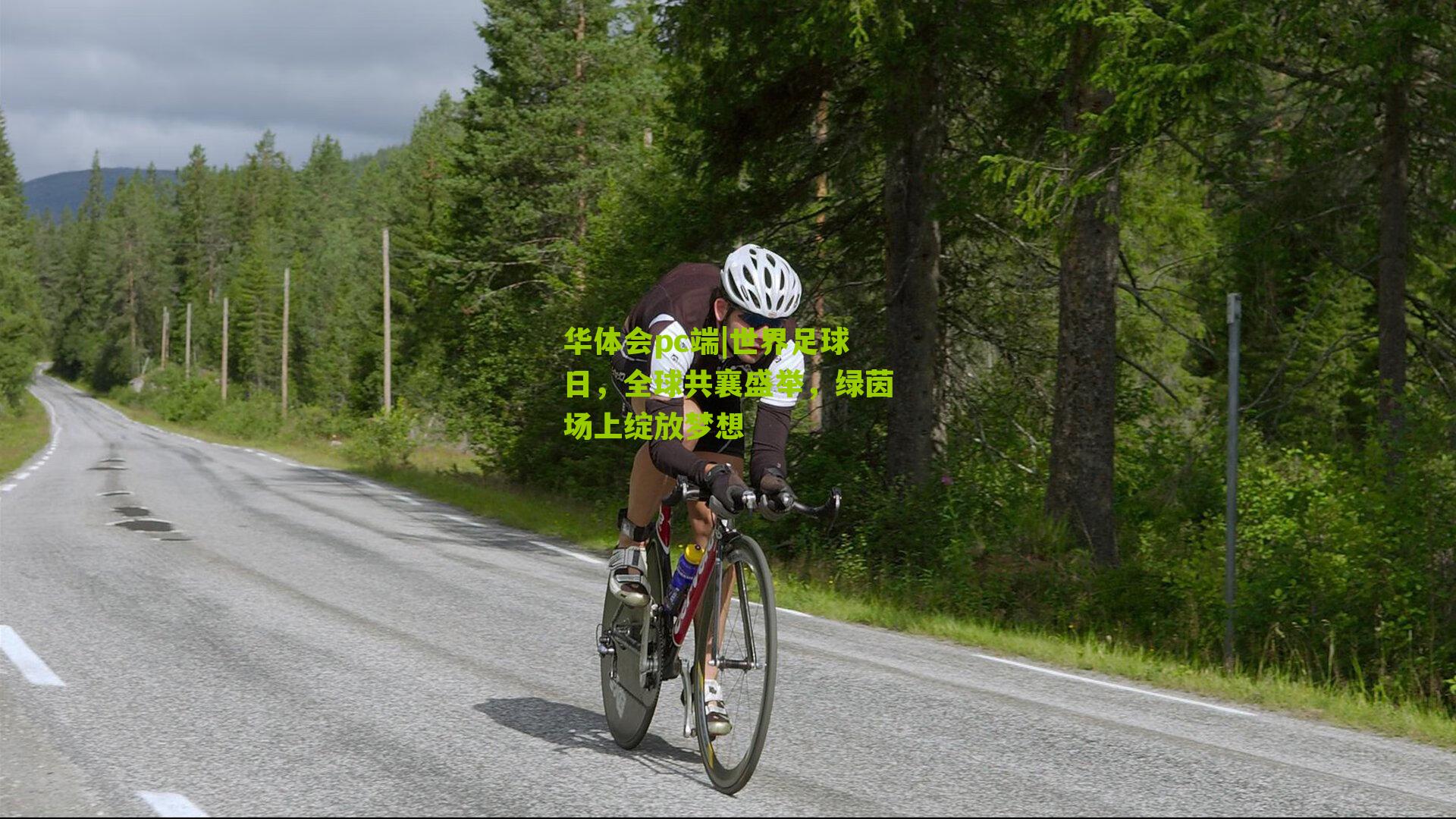 世界足球日，全球共襄盛举，绿茵场上绽放梦想