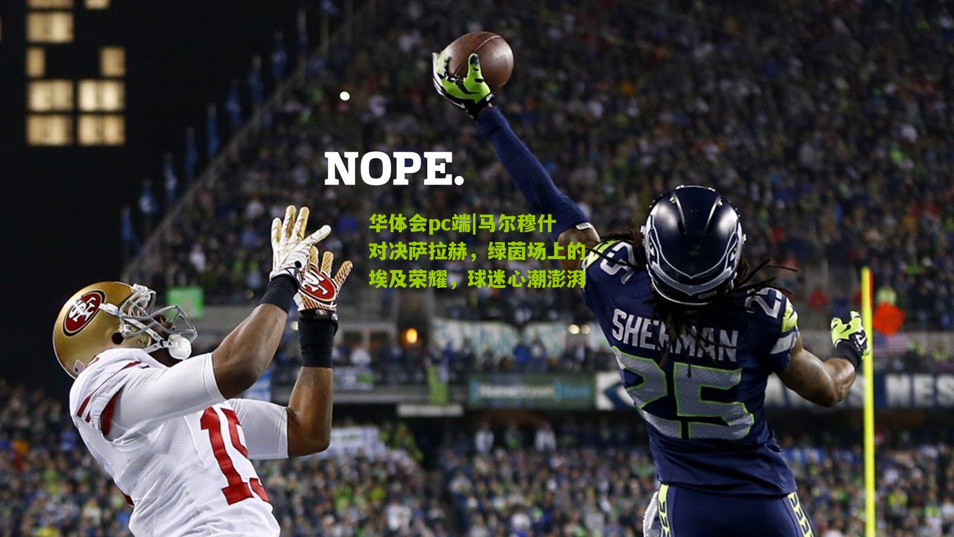 马尔穆什对决萨拉赫，绿茵场上的埃及荣耀，球迷心潮澎湃